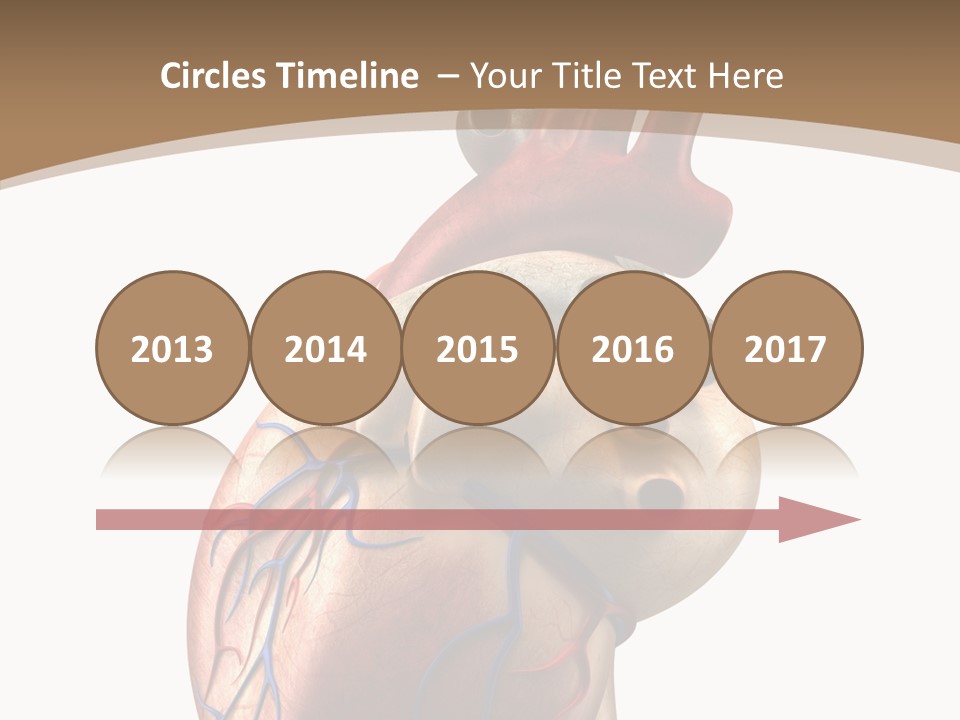 Health Care Real Cardiovascular PowerPoint Template