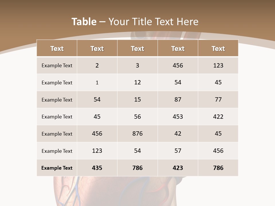Health Care Real Cardiovascular PowerPoint Template