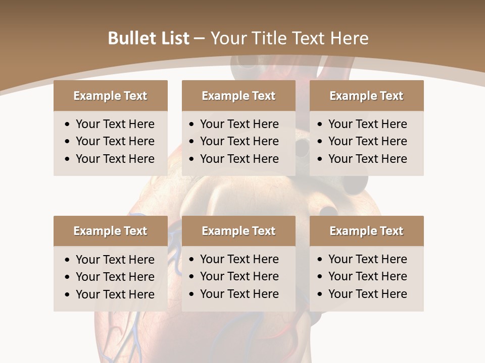 Health Care Real Cardiovascular PowerPoint Template