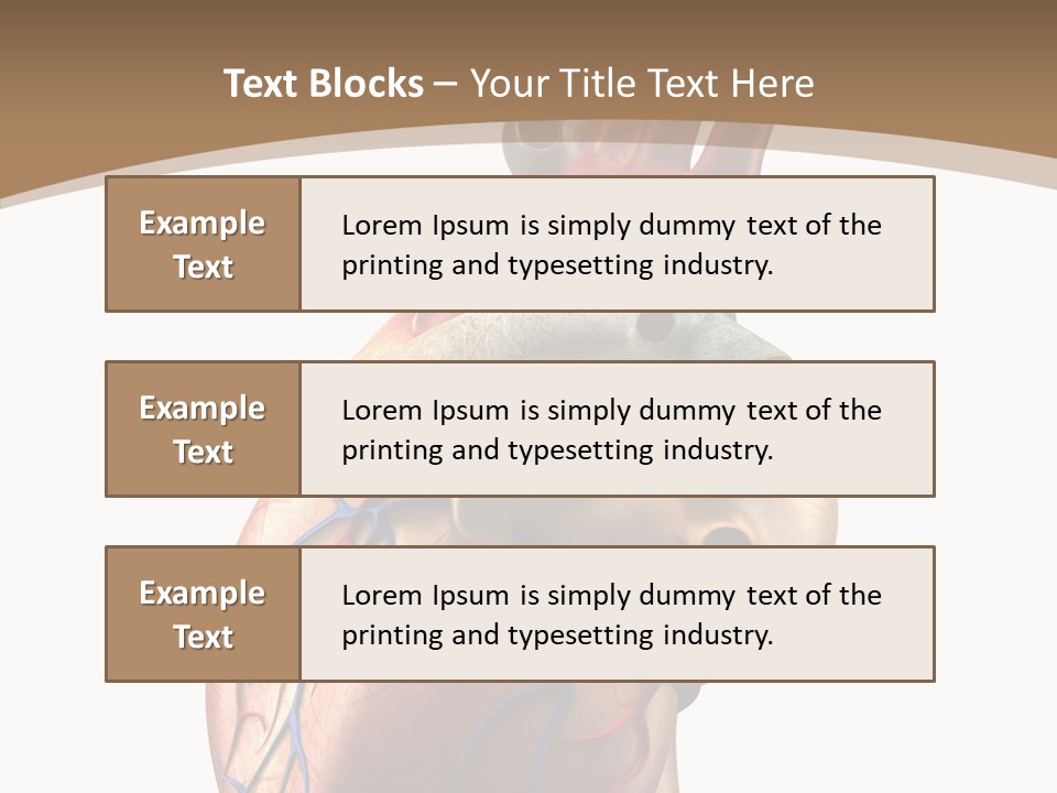 Health Care Real Cardiovascular PowerPoint Template