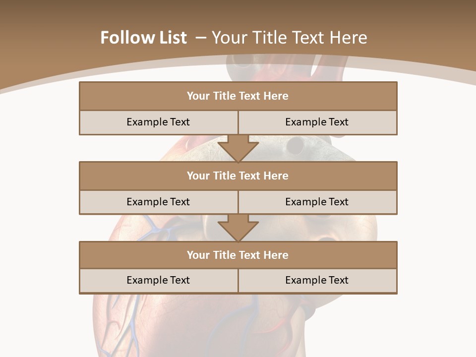 Health Care Real Cardiovascular PowerPoint Template