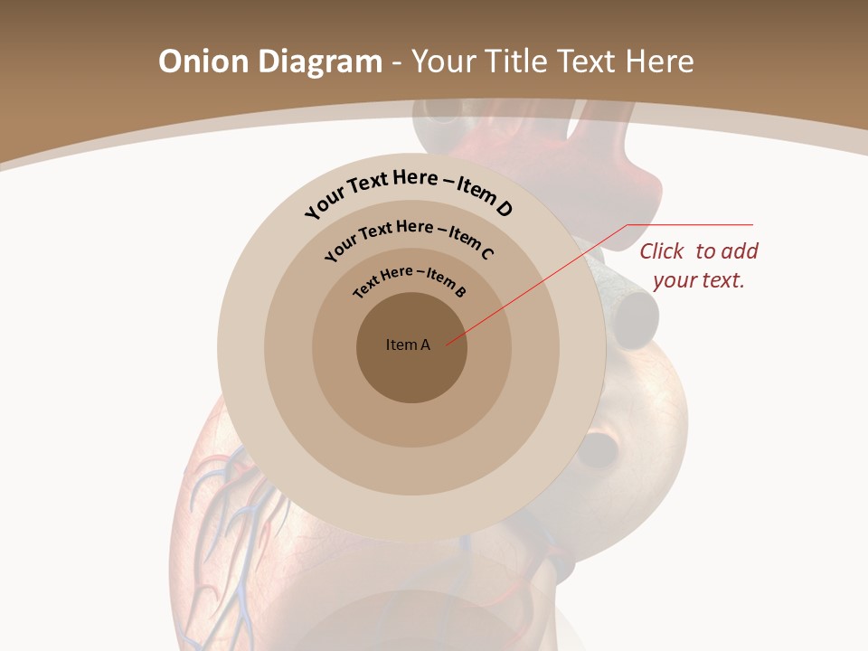 Health Care Real Cardiovascular PowerPoint Template