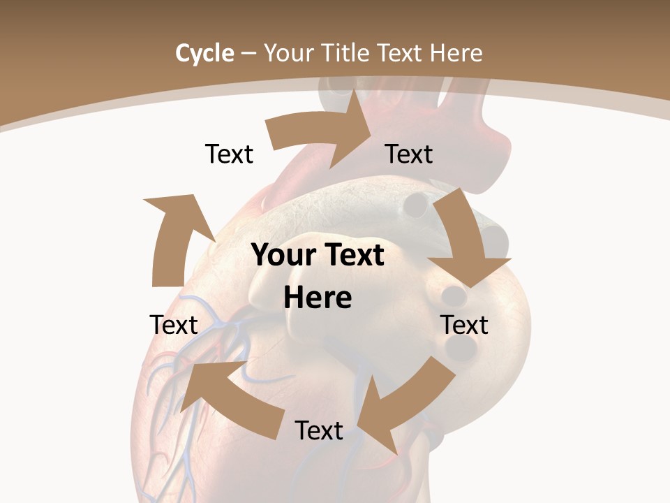 Health Care Real Cardiovascular PowerPoint Template
