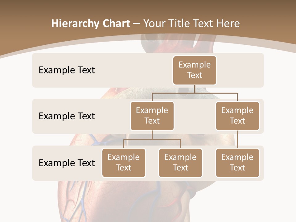 Health Care Real Cardiovascular PowerPoint Template