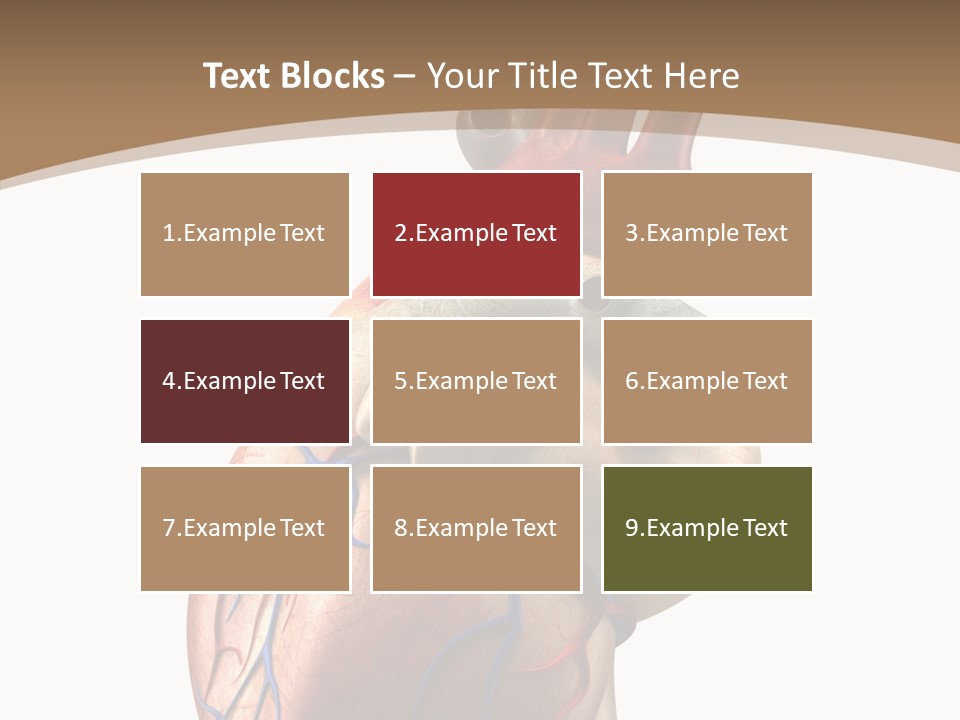 Health Care Real Cardiovascular PowerPoint Template