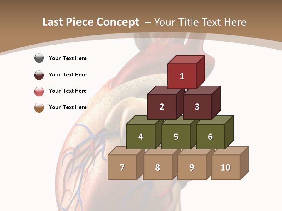 Health Care Real Cardiovascular PowerPoint Template