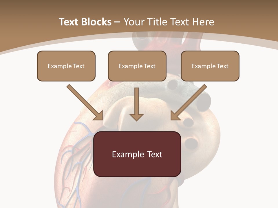 Health Care Real Cardiovascular PowerPoint Template