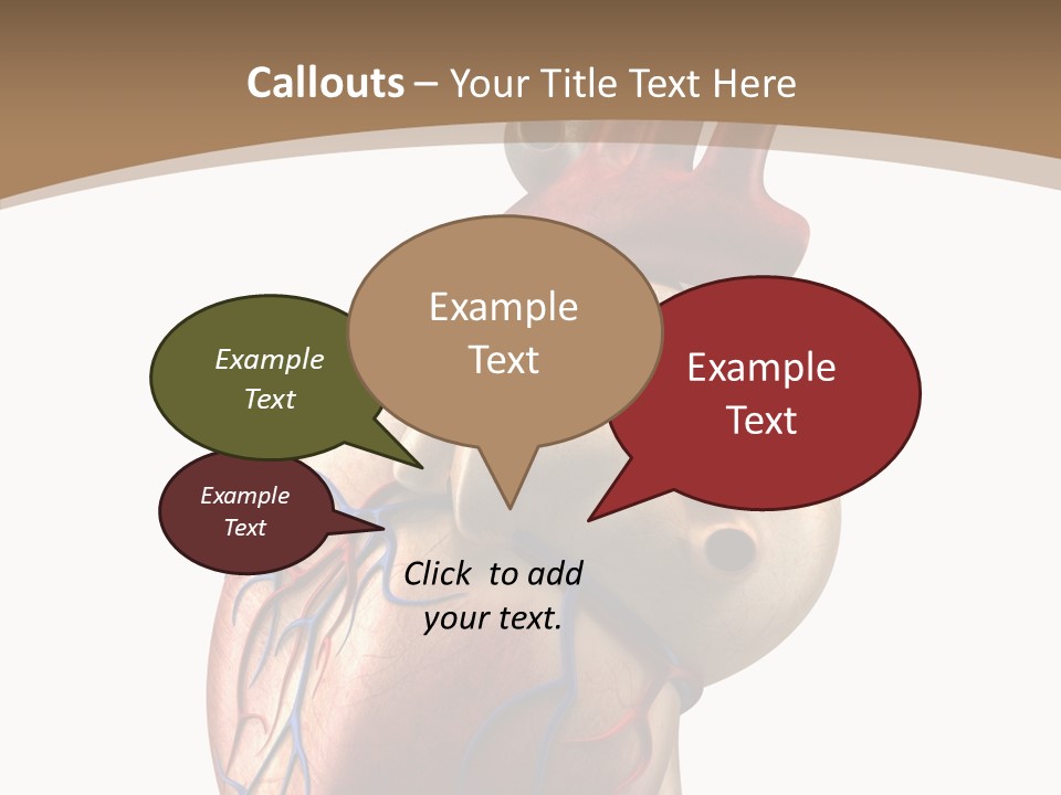 Health Care Real Cardiovascular PowerPoint Template