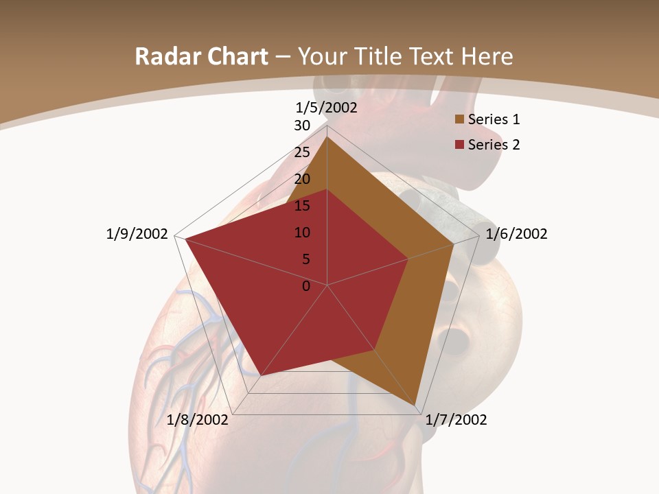 Health Care Real Cardiovascular PowerPoint Template