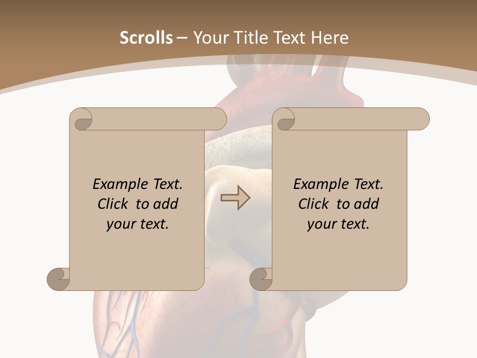 Health Care Real Cardiovascular PowerPoint Template