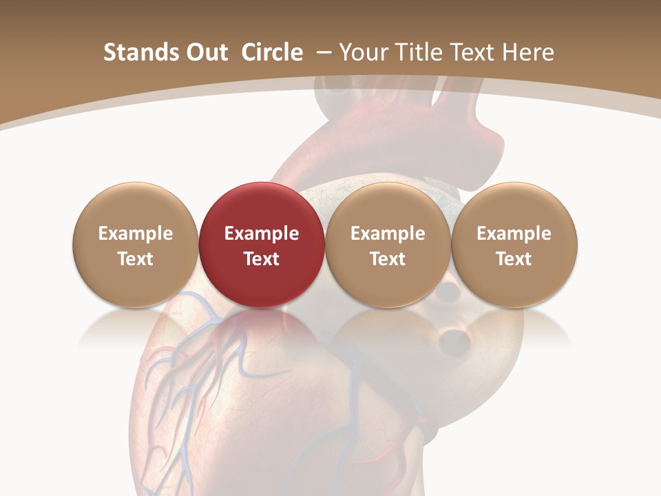 Health Care Real Cardiovascular PowerPoint Template