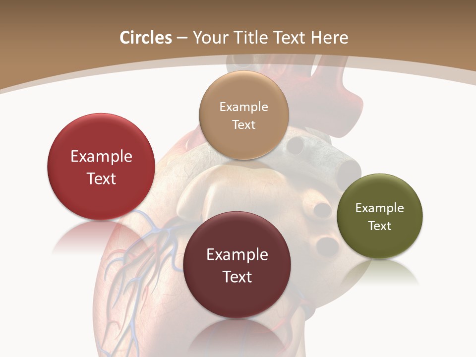 Health Care Real Cardiovascular PowerPoint Template