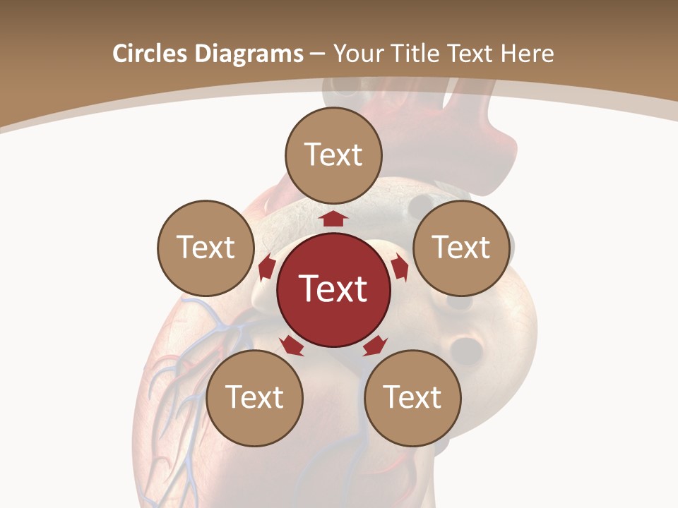 Health Care Real Cardiovascular PowerPoint Template