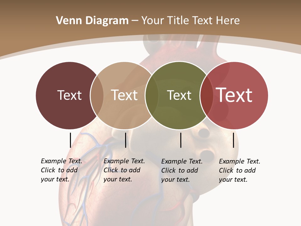 Health Care Real Cardiovascular PowerPoint Template