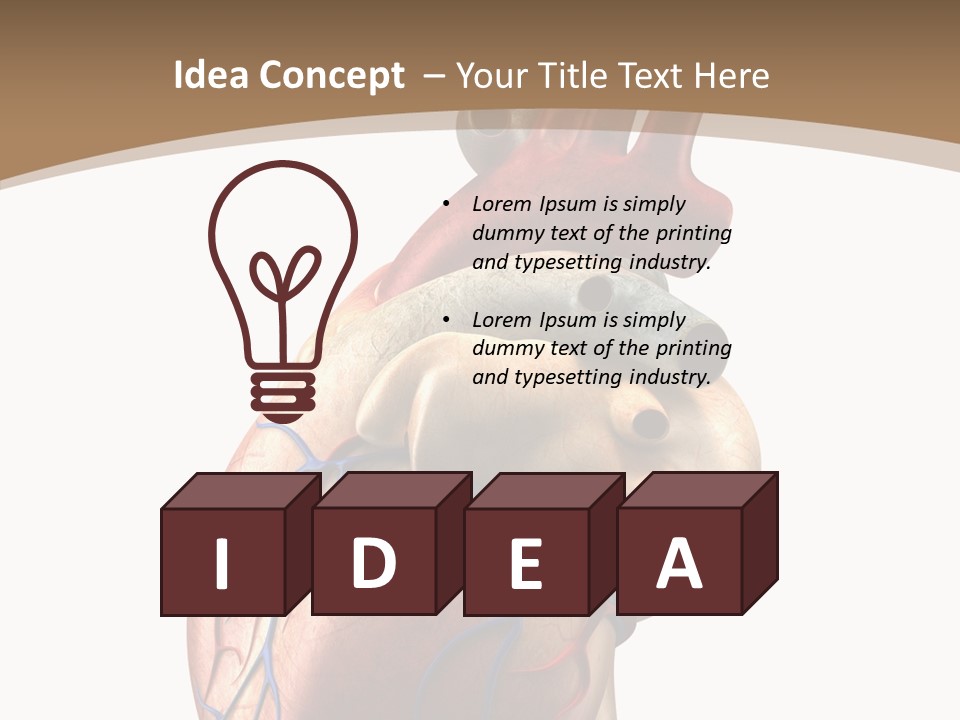 Health Care Real Cardiovascular PowerPoint Template