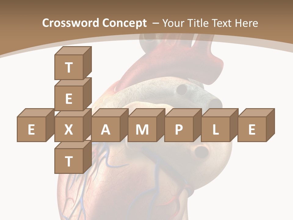 Health Care Real Cardiovascular PowerPoint Template