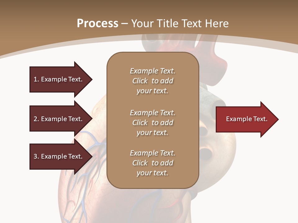 Health Care Real Cardiovascular PowerPoint Template