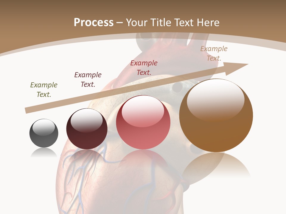Health Care Real Cardiovascular PowerPoint Template