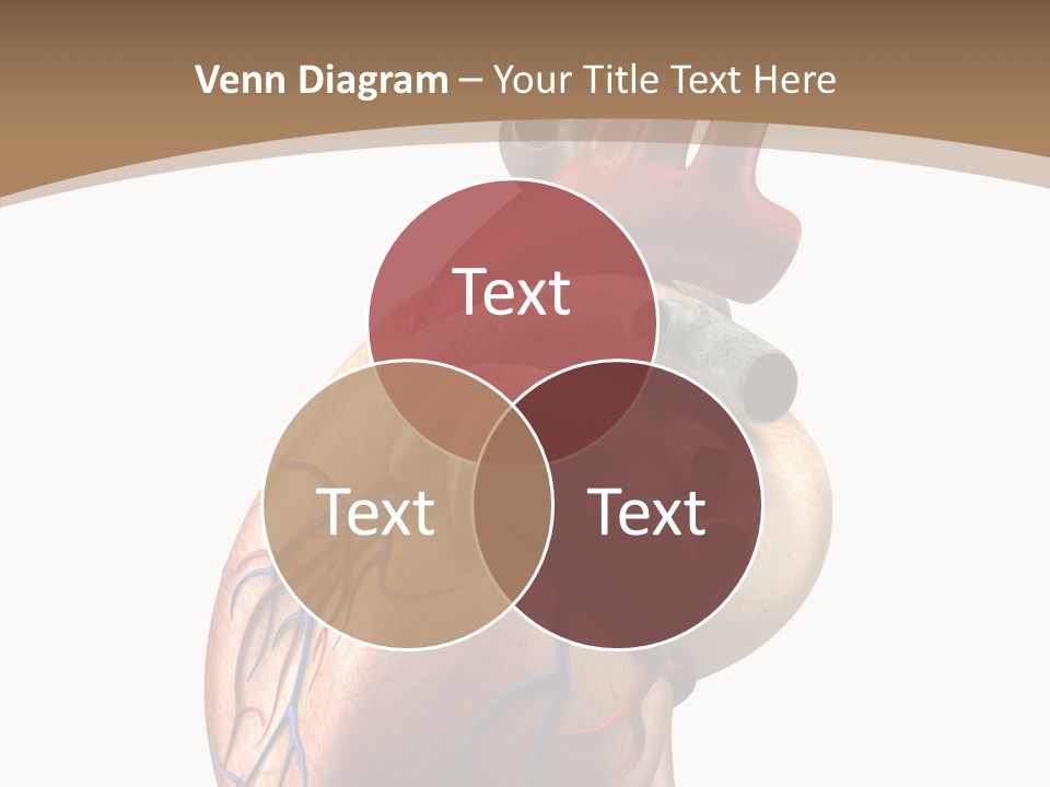 Health Care Real Cardiovascular PowerPoint Template