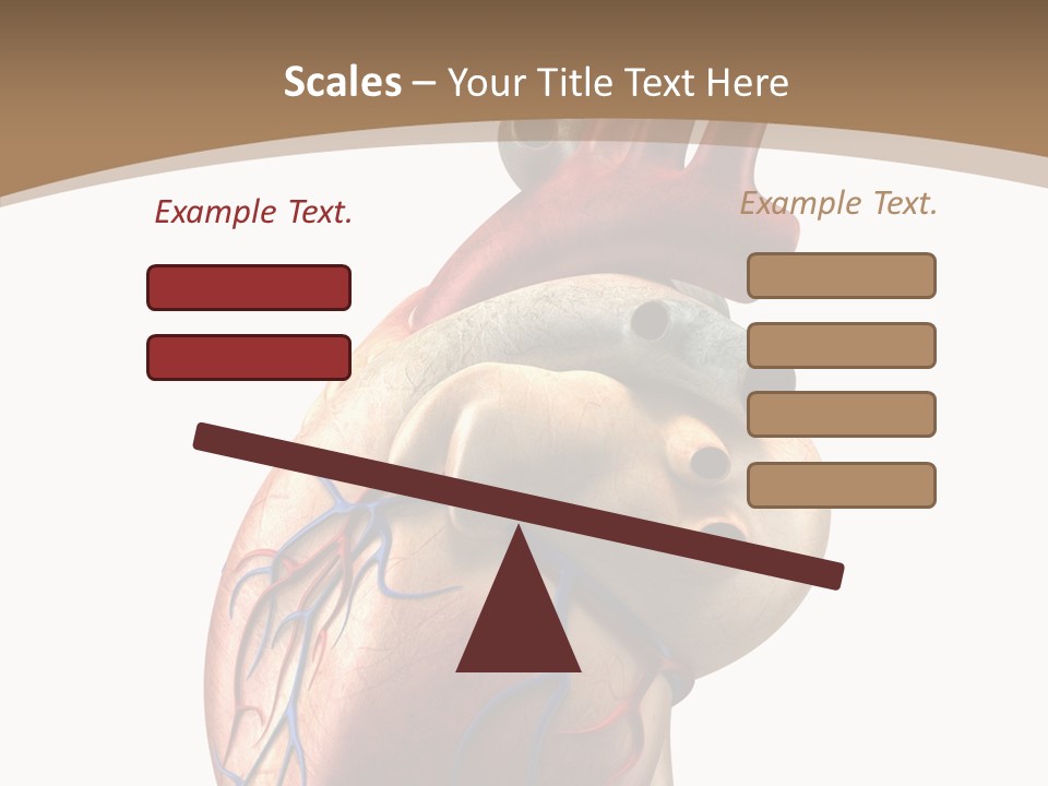 Health Care Real Cardiovascular PowerPoint Template