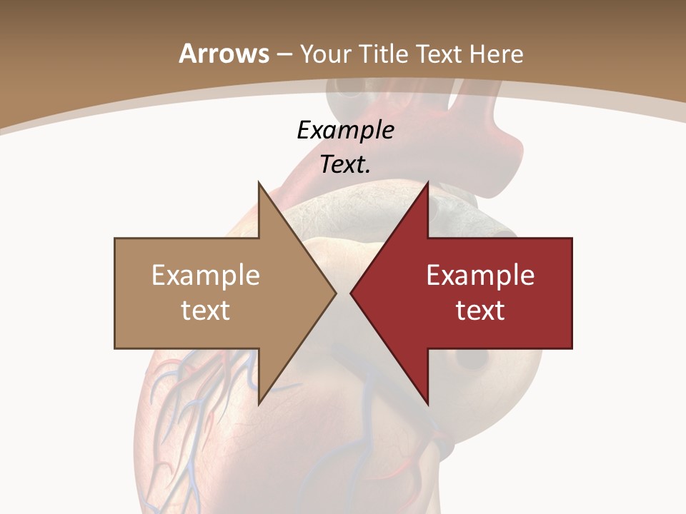 Health Care Real Cardiovascular PowerPoint Template