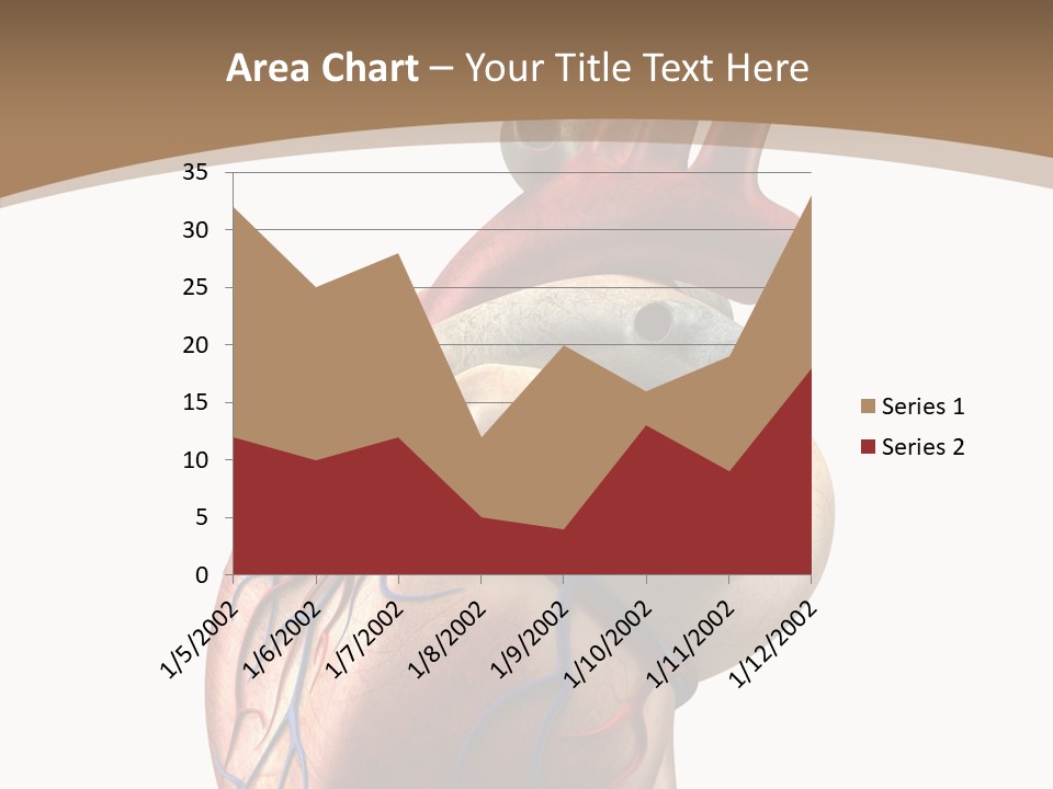 Health Care Real Cardiovascular PowerPoint Template