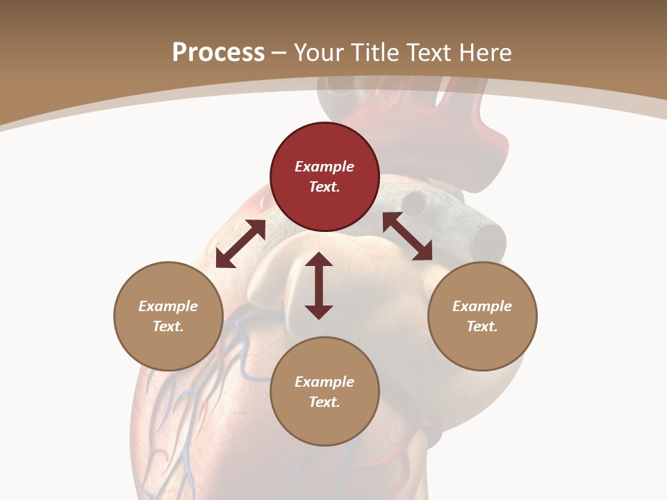 Health Care Real Cardiovascular PowerPoint Template