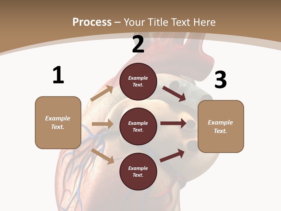 Health Care Real Cardiovascular PowerPoint Template