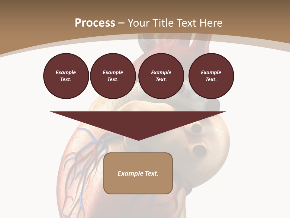 Health Care Real Cardiovascular PowerPoint Template