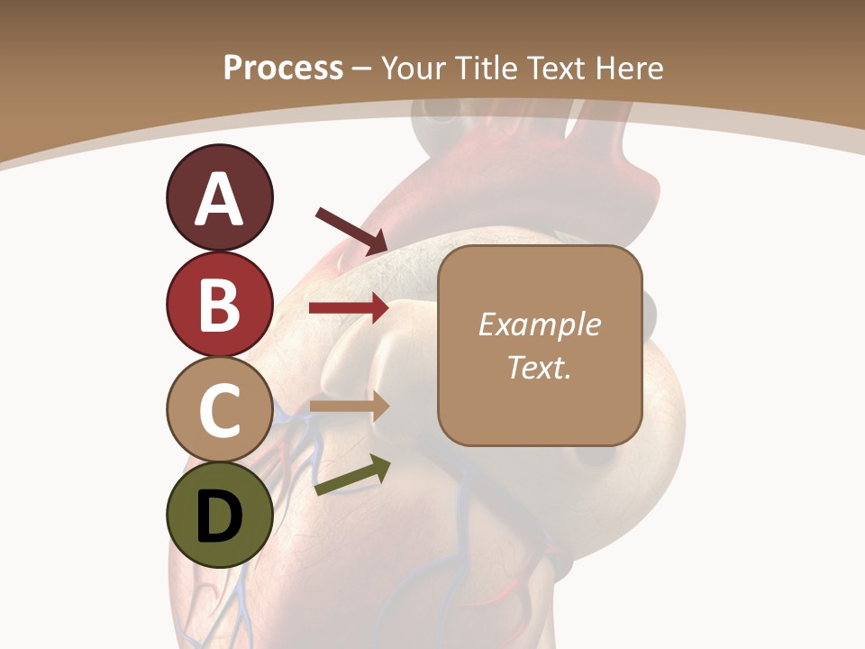 Health Care Real Cardiovascular PowerPoint Template