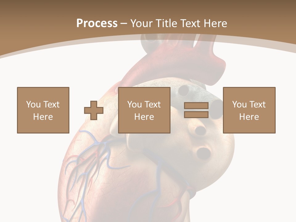 Health Care Real Cardiovascular PowerPoint Template