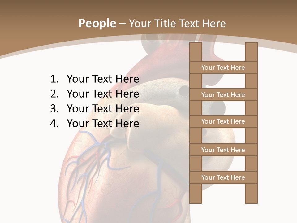Health Care Real Cardiovascular PowerPoint Template