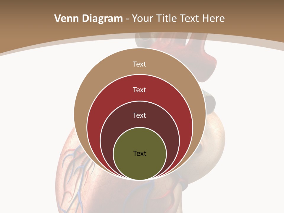 Health Care Real Cardiovascular PowerPoint Template