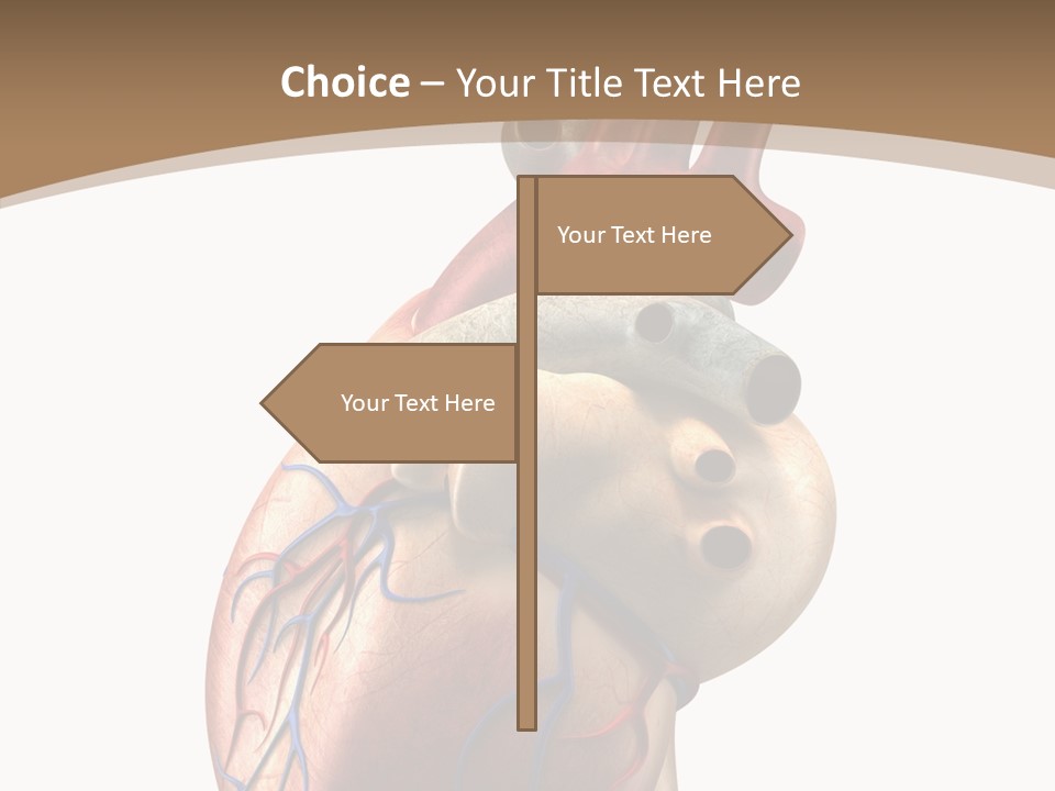 Health Care Real Cardiovascular PowerPoint Template