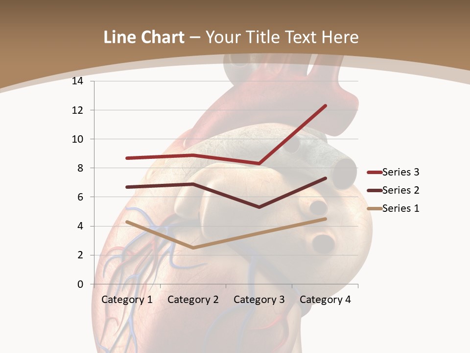 Health Care Real Cardiovascular PowerPoint Template