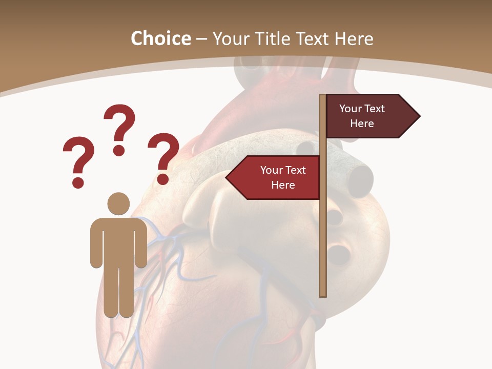 Health Care Real Cardiovascular PowerPoint Template