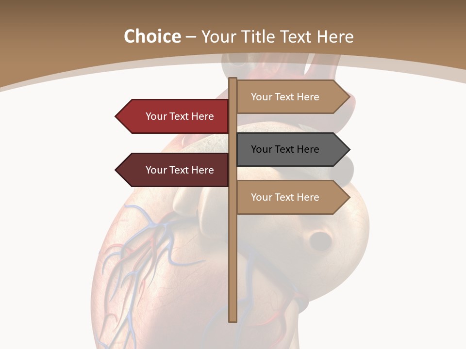 Health Care Real Cardiovascular PowerPoint Template
