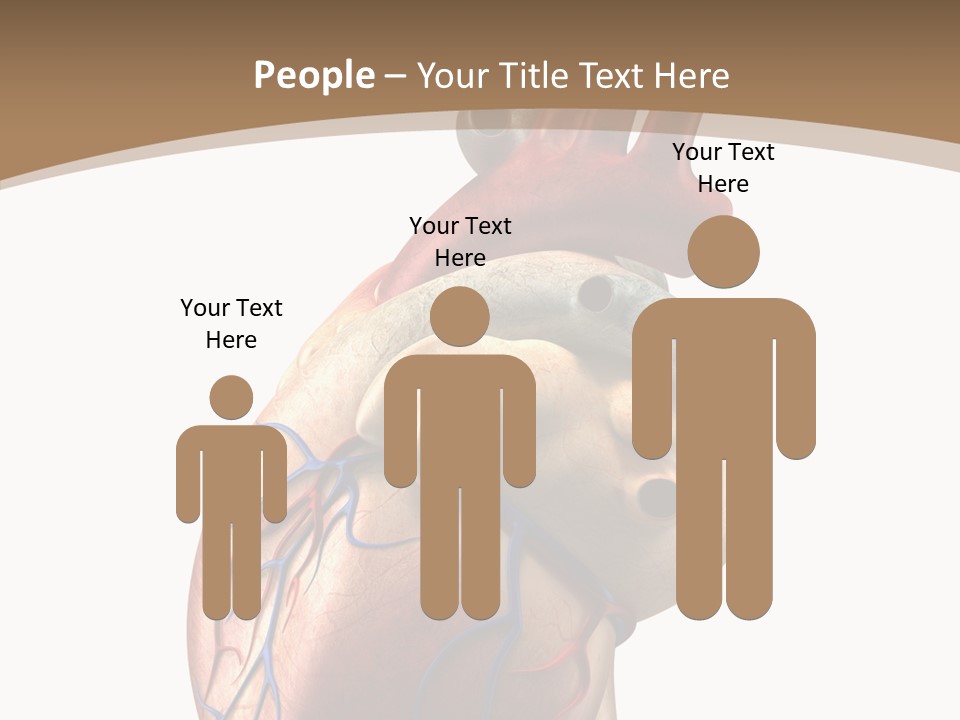 Health Care Real Cardiovascular PowerPoint Template