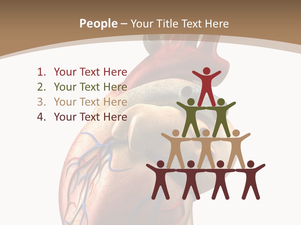 Health Care Real Cardiovascular PowerPoint Template