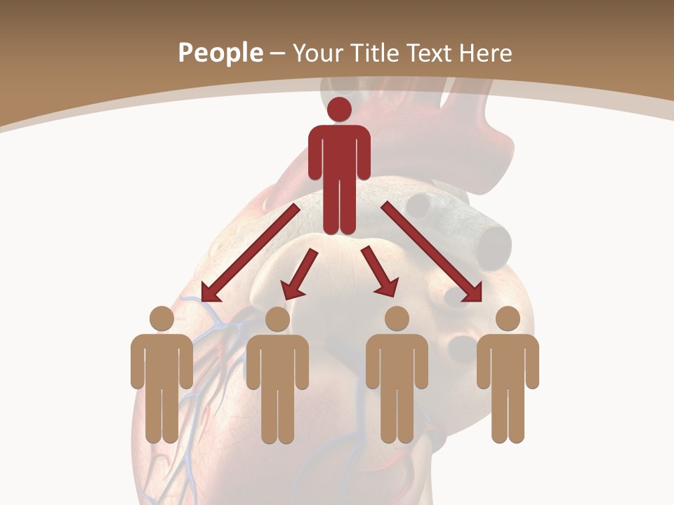 Health Care Real Cardiovascular PowerPoint Template