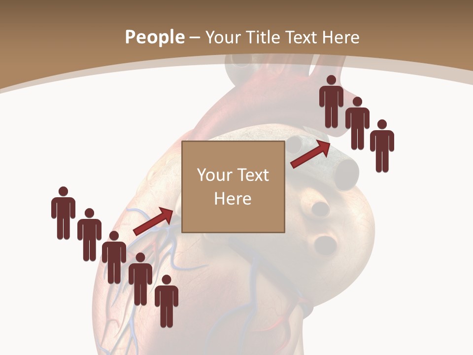 Health Care Real Cardiovascular PowerPoint Template