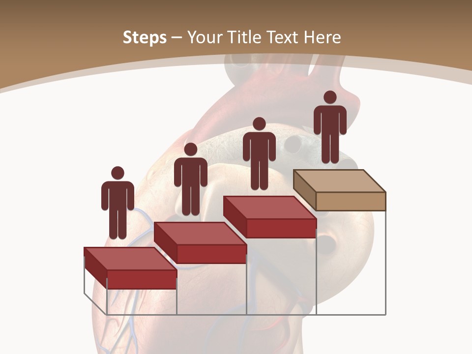 Health Care Real Cardiovascular PowerPoint Template