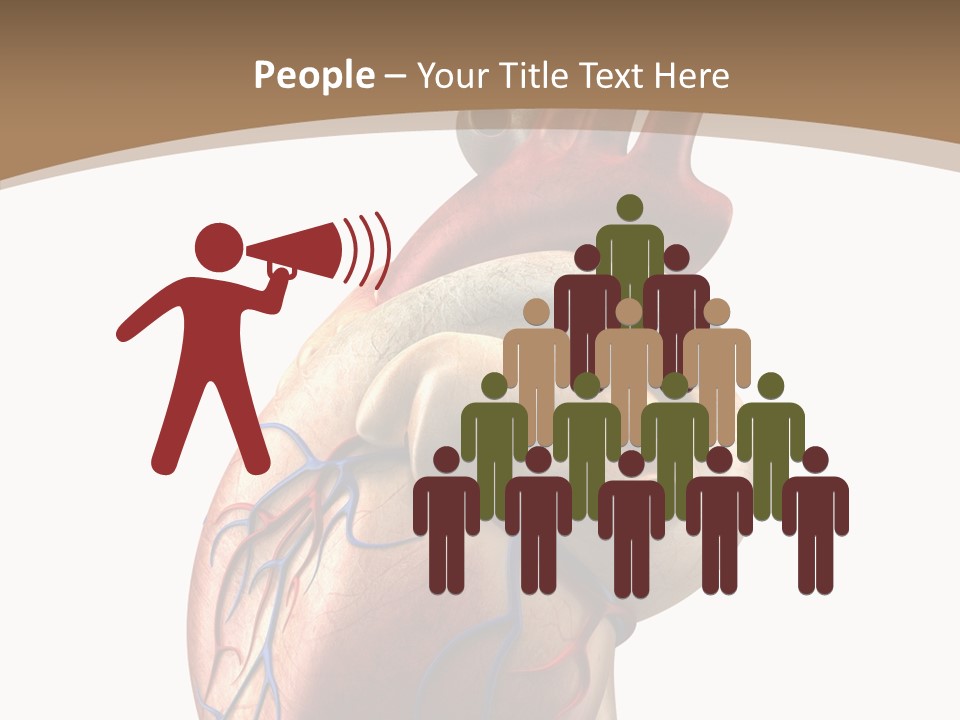 Health Care Real Cardiovascular PowerPoint Template