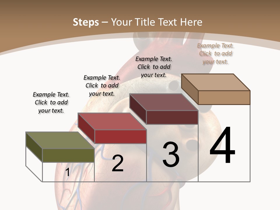 Health Care Real Cardiovascular PowerPoint Template