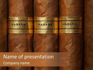 Business Cuban Cancer PowerPoint Template