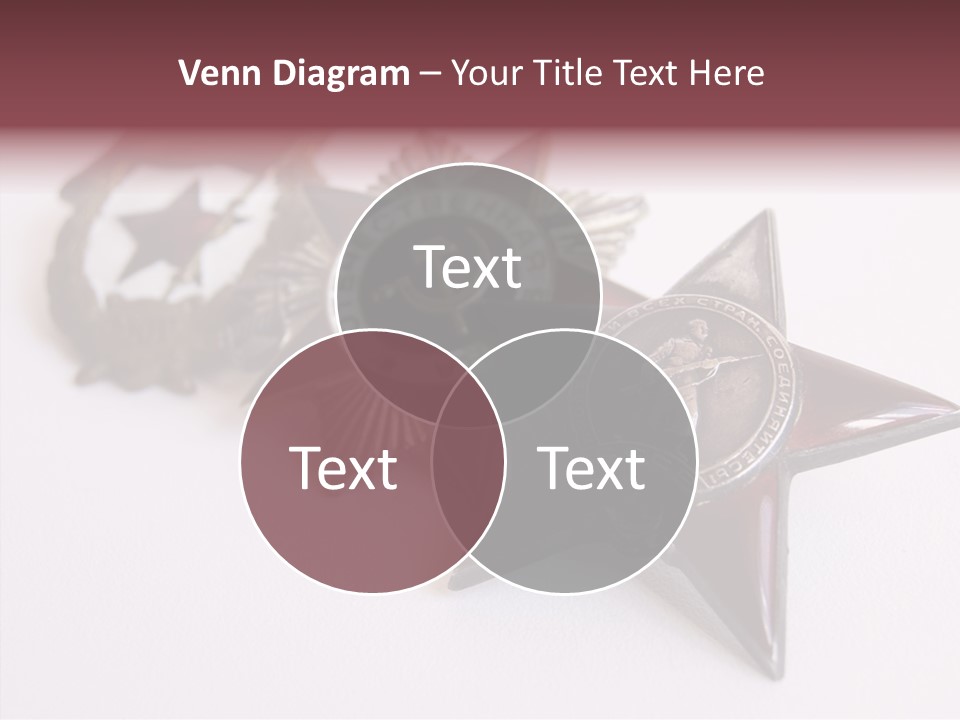 White Win Bays PowerPoint Template