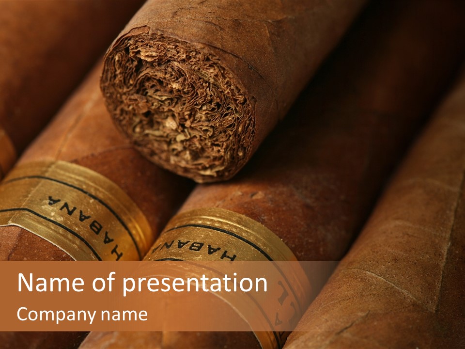 Business Luxury Cancer PowerPoint Template