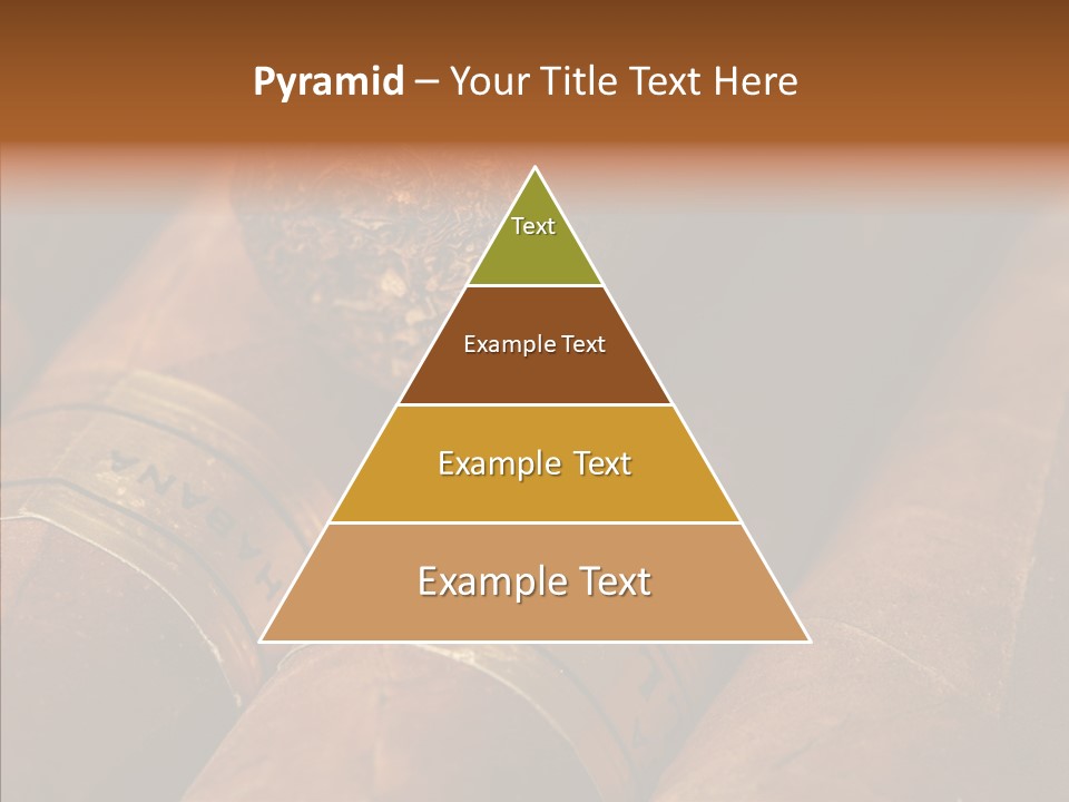 Business Luxury Cancer PowerPoint Template