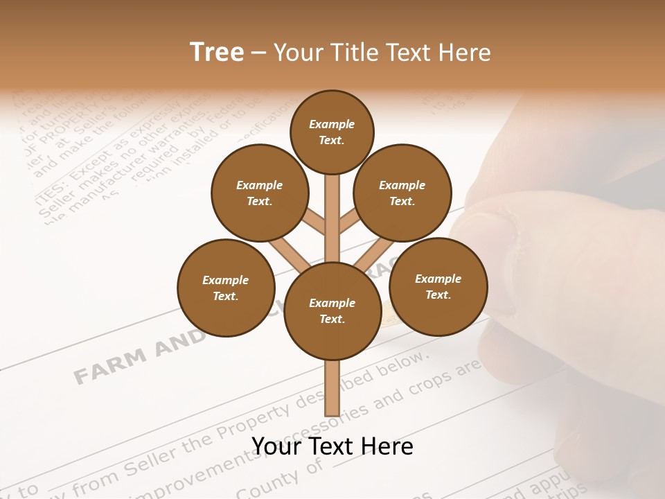 Rental New Arrive PowerPoint Template