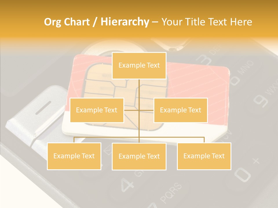 Card Data Detail PowerPoint Template